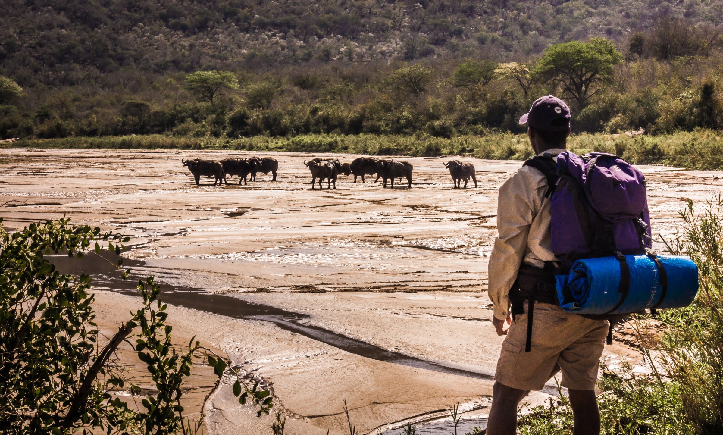 Hluhluwe-iMfolozi Park (Mpila)