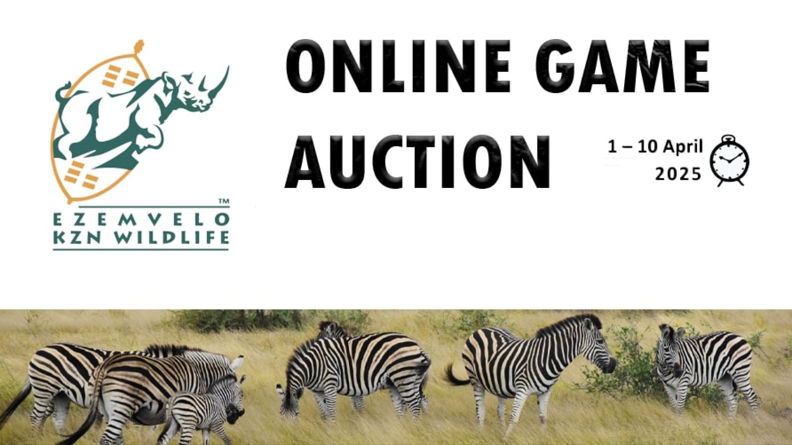  Online Game Auction